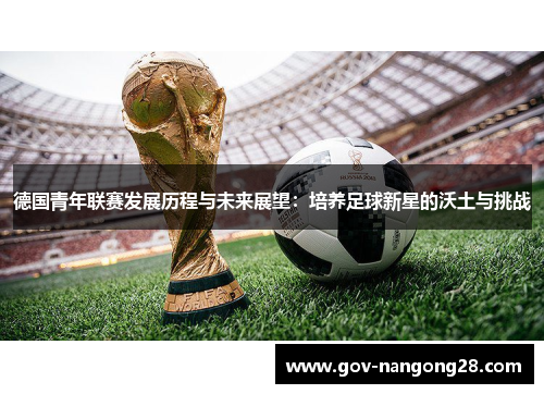 德国青年联赛发展历程与未来展望：培养足球新星的沃土与挑战
