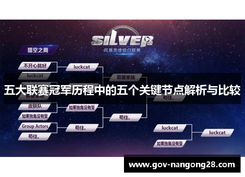 五大联赛冠军历程中的五个关键节点解析与比较