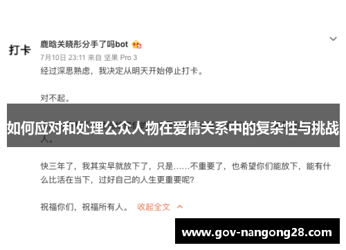 如何应对和处理公众人物在爱情关系中的复杂性与挑战