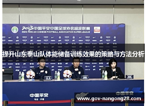 提升山东泰山队体能储备训练效果的策略与方法分析