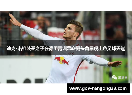 迪克·诺维茨基之子在德甲青训营崭露头角展现出色足球天赋