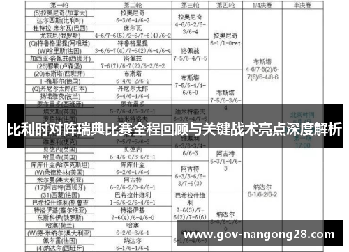 比利时对阵瑞典比赛全程回顾与关键战术亮点深度解析