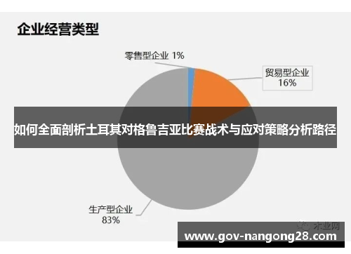 如何全面剖析土耳其对格鲁吉亚比赛战术与应对策略分析路径