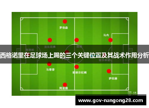 西格诺里在足球场上踢的三个关键位置及其战术作用分析